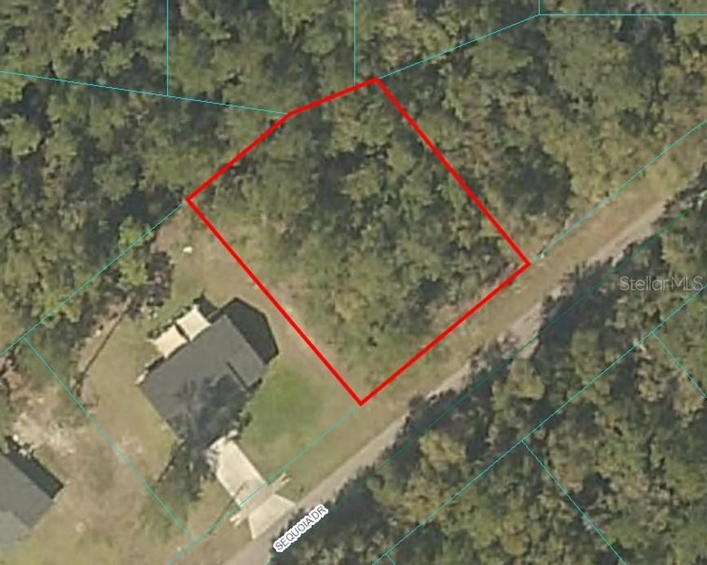 Photo of Sequoia Drive, Ocklawaha, FL 32179 (MLS # OM682182)
