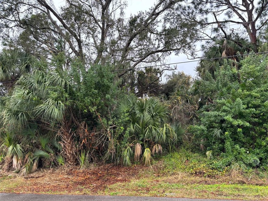 It’s an exciting time to build your new home in North Port! The area is and has been experiencing major new growth. This quiet neighborhood is conveniently located close to shopping, restaurants, parks, golf, beaches, Wellen Park, Historic Downtown Venice, Atlanta Braves spring training ballpark and more. Plus, quick access to I-75 and a comfortable drive to Sarasota and/or Fort Myers. This wooded lot is priced to sell fast, make an offer today!