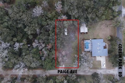 2124 PAIGE AVENUE NEW SMYRNA BEACH FL 32168