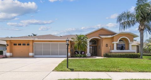 18223 NESTLEBRANCH COURT HUDSON FL 34667