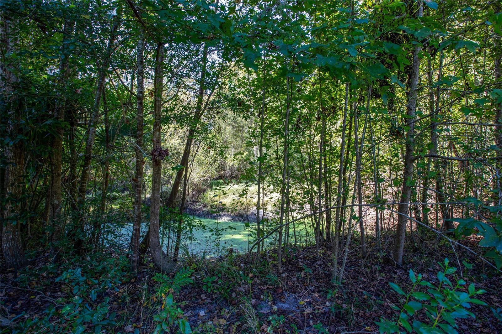 DIST 3 - Residential