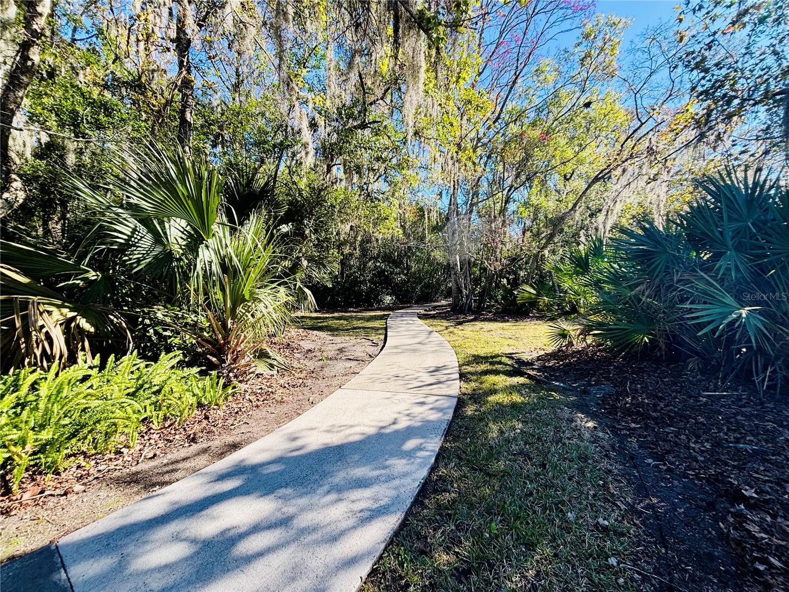 THE WOODS - Residential