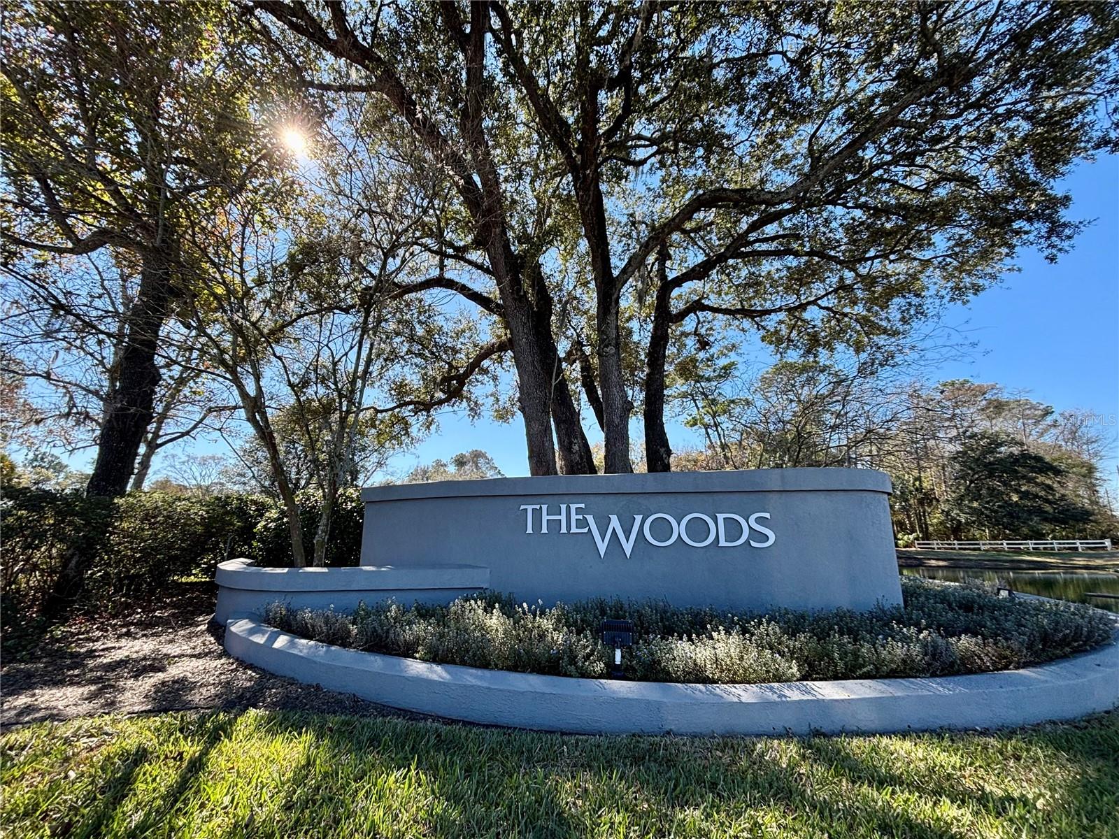 THE WOODS - Residential