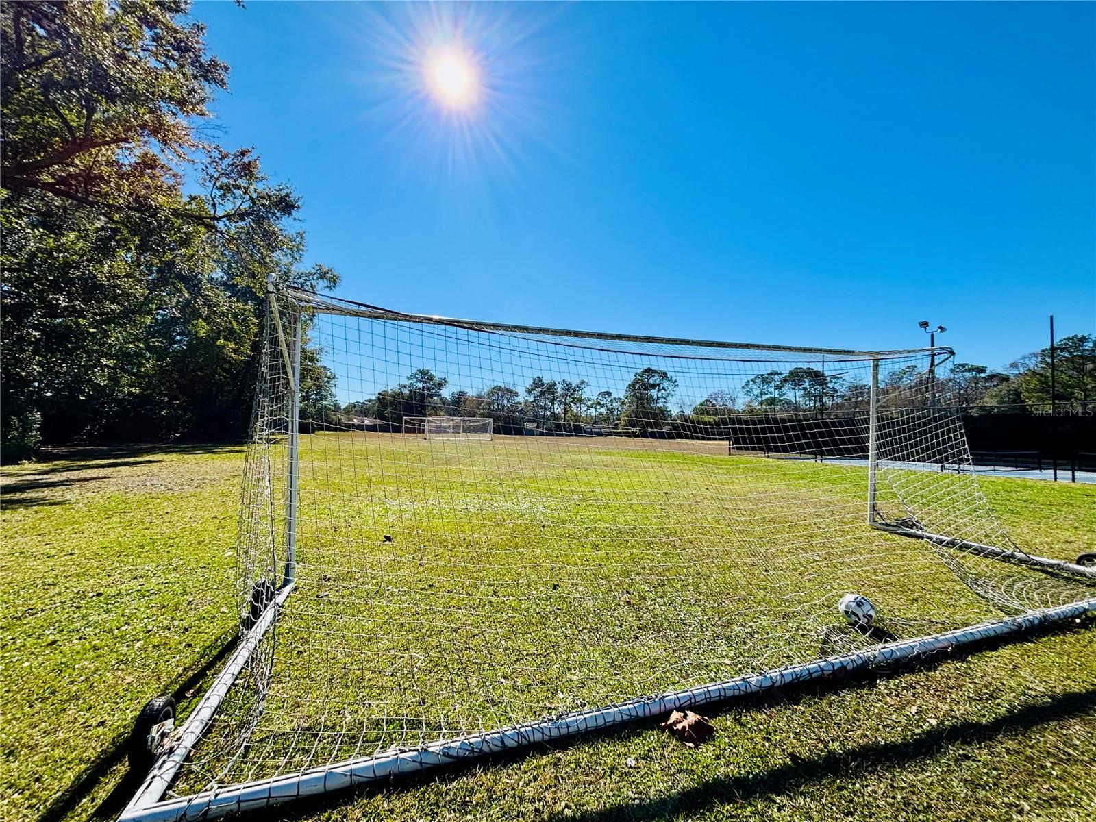 THE WOODS - Residential