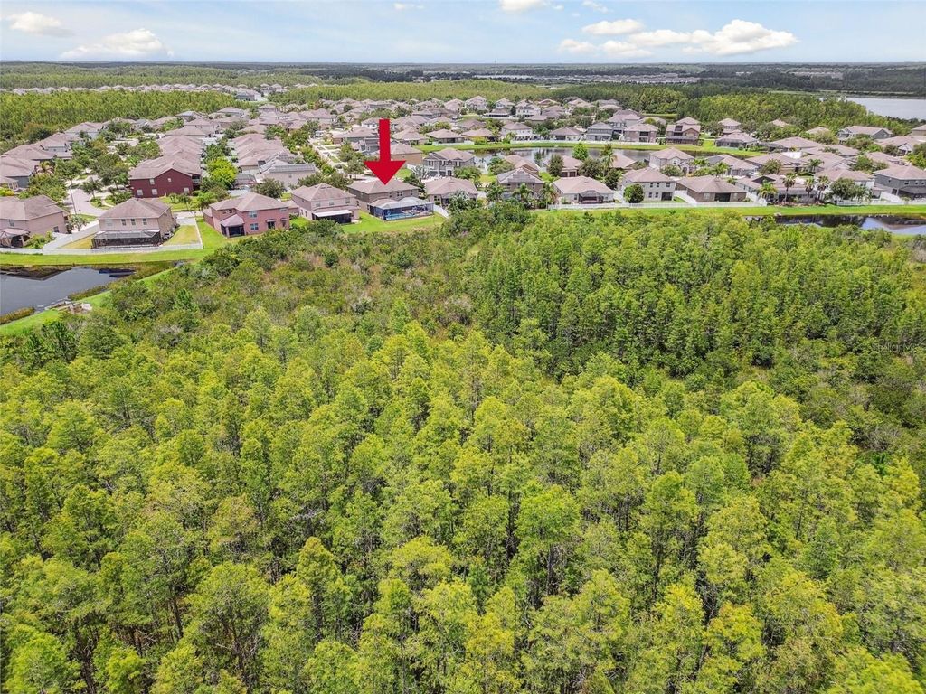 Photo of 18786 Milton Keynes Court, Land O Lakes, FL 34638 (MLS # U8249068)