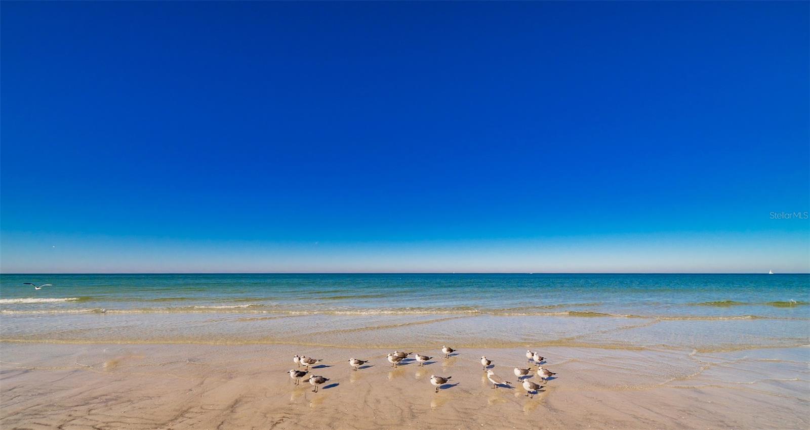 SAND KEY CONDO-SOUTH BEACH 1460 - Residential