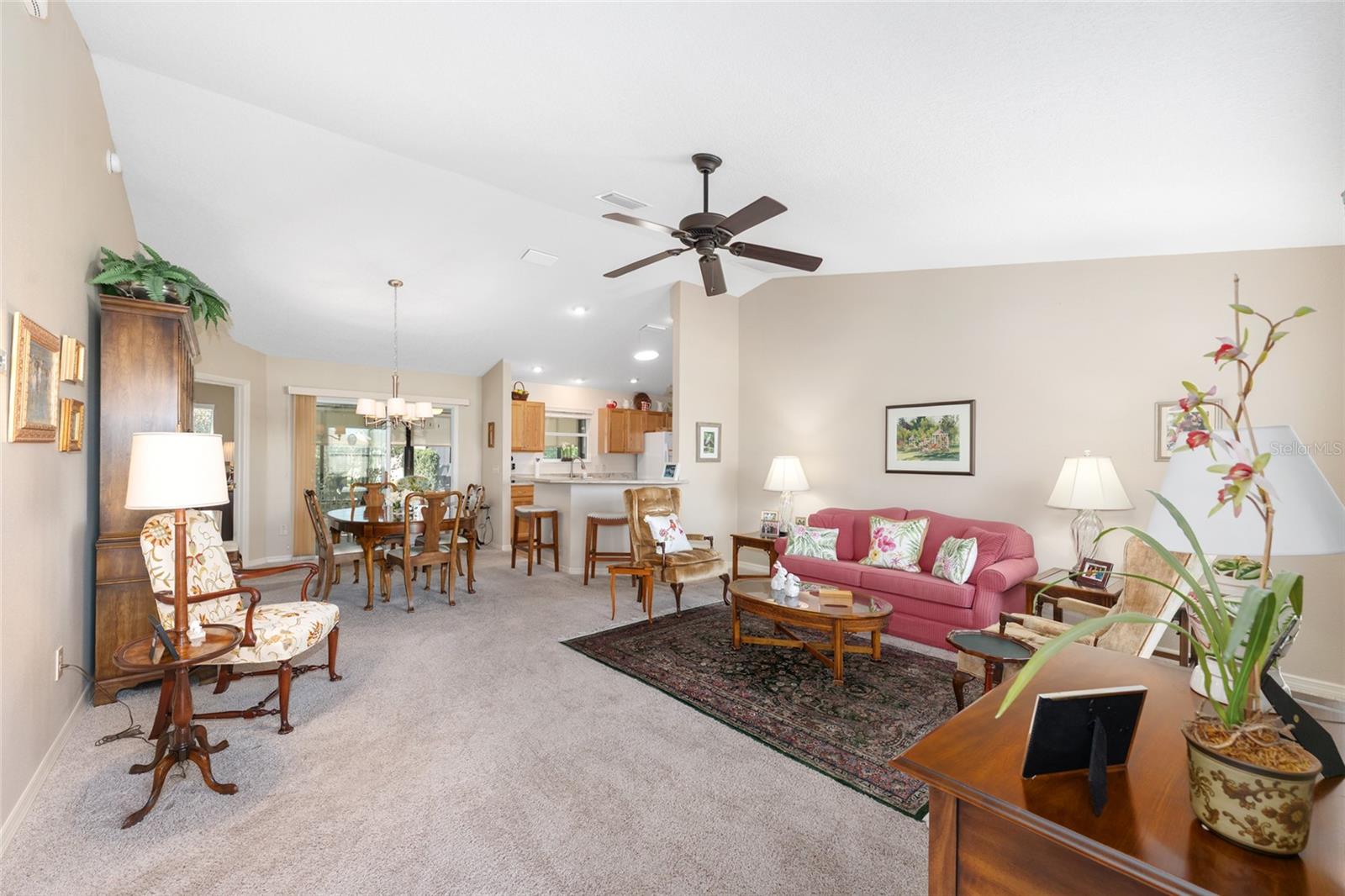 VILLAGES SUMTER - Residential