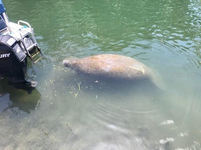 WEEKI WACHEE SHORES - Land