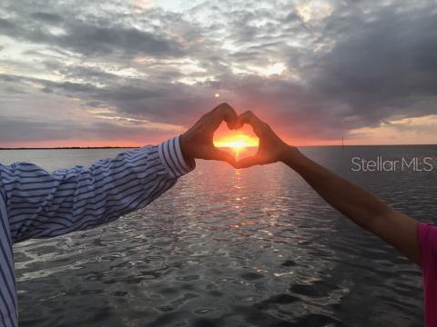 WEEKI WACHEE SHORES - Land