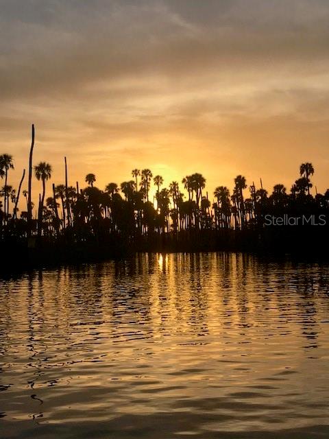 WEEKI WACHEE SHORES - Land