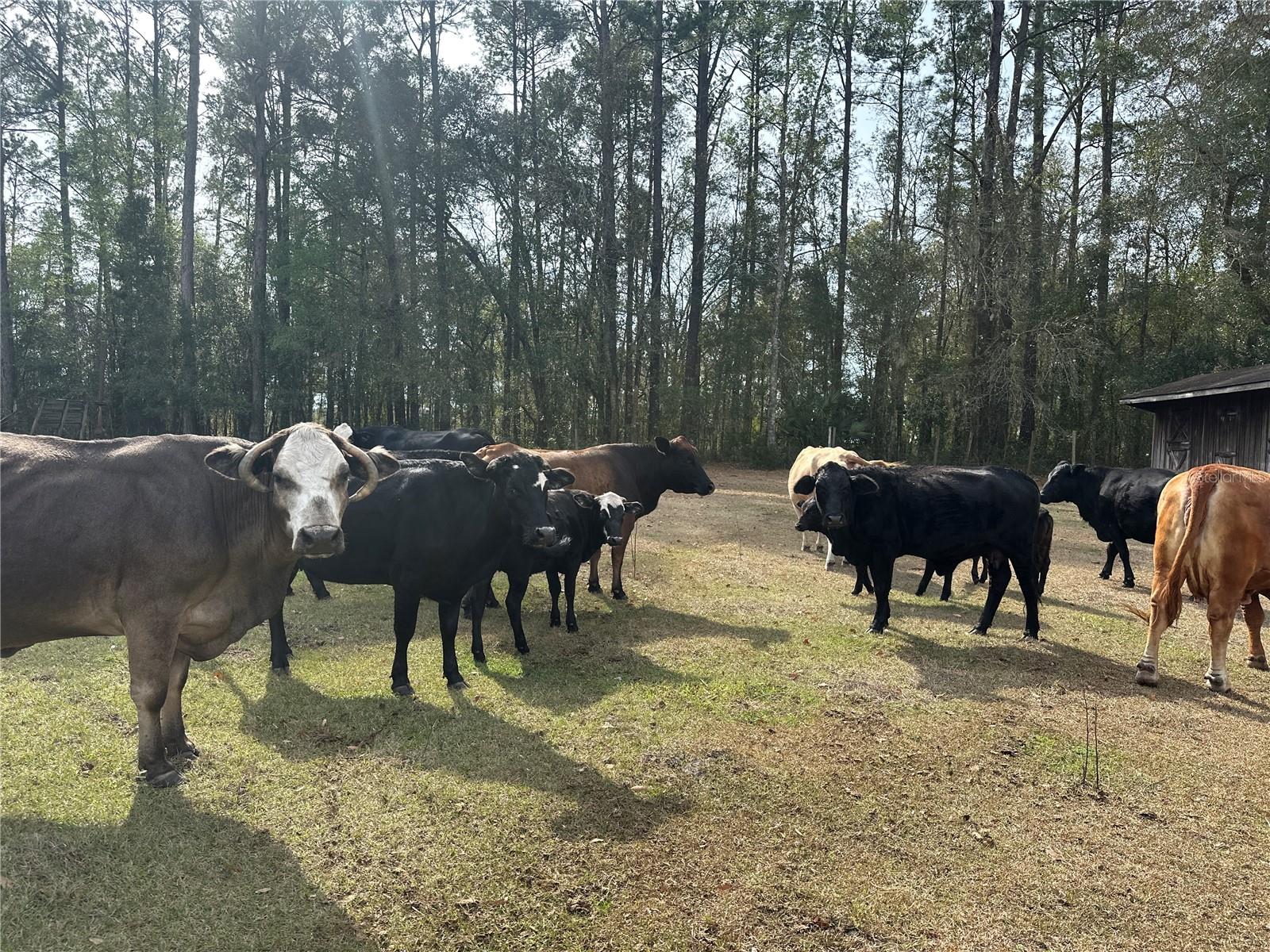 10550 NW 115TH AVENUE