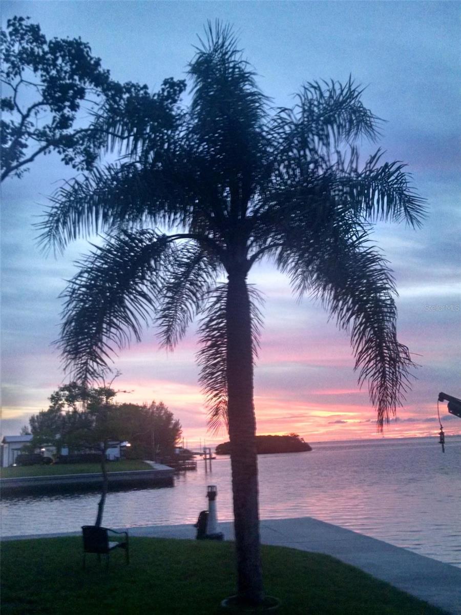 SIGNAL COVE - Residential