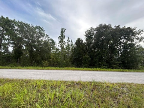Tiny photo for Tbd NE 150th Avenue, Williston, FL 32696 (MLS # OM731328)