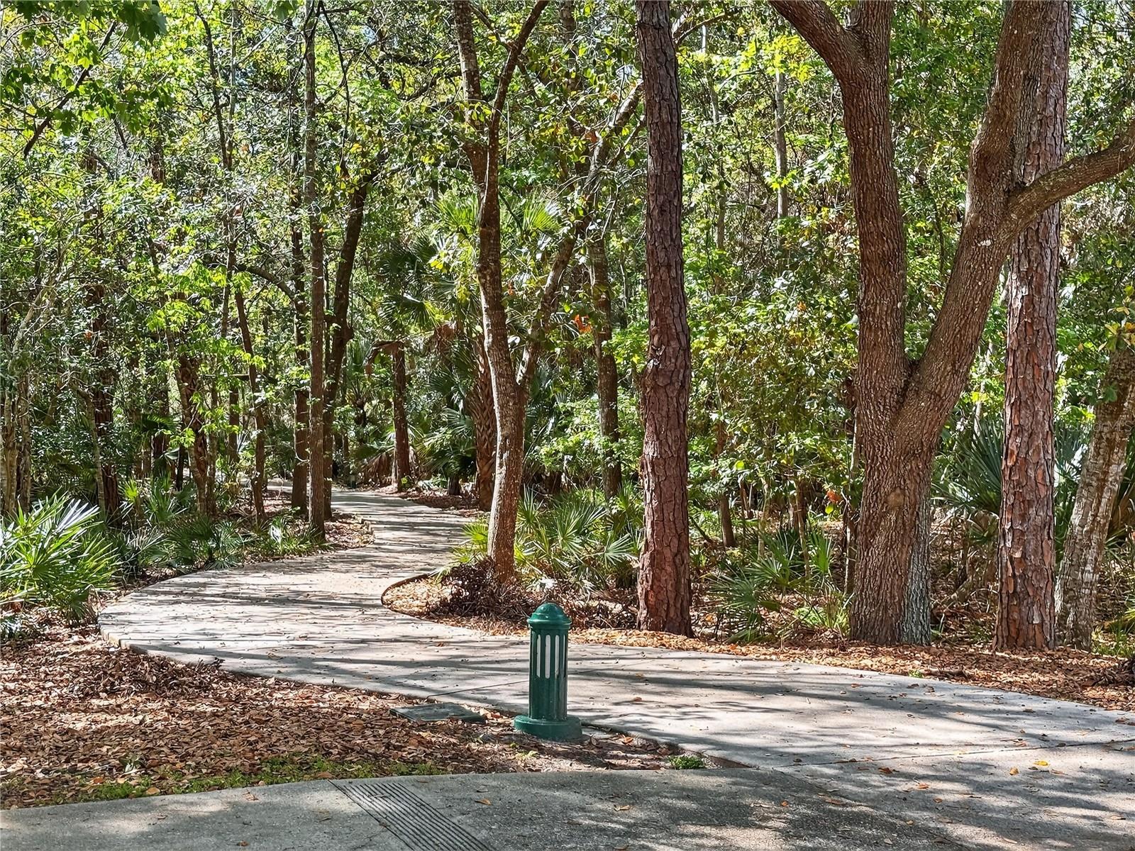 CELEBRATION EAST VILLAGE UNIT 1 - Residential