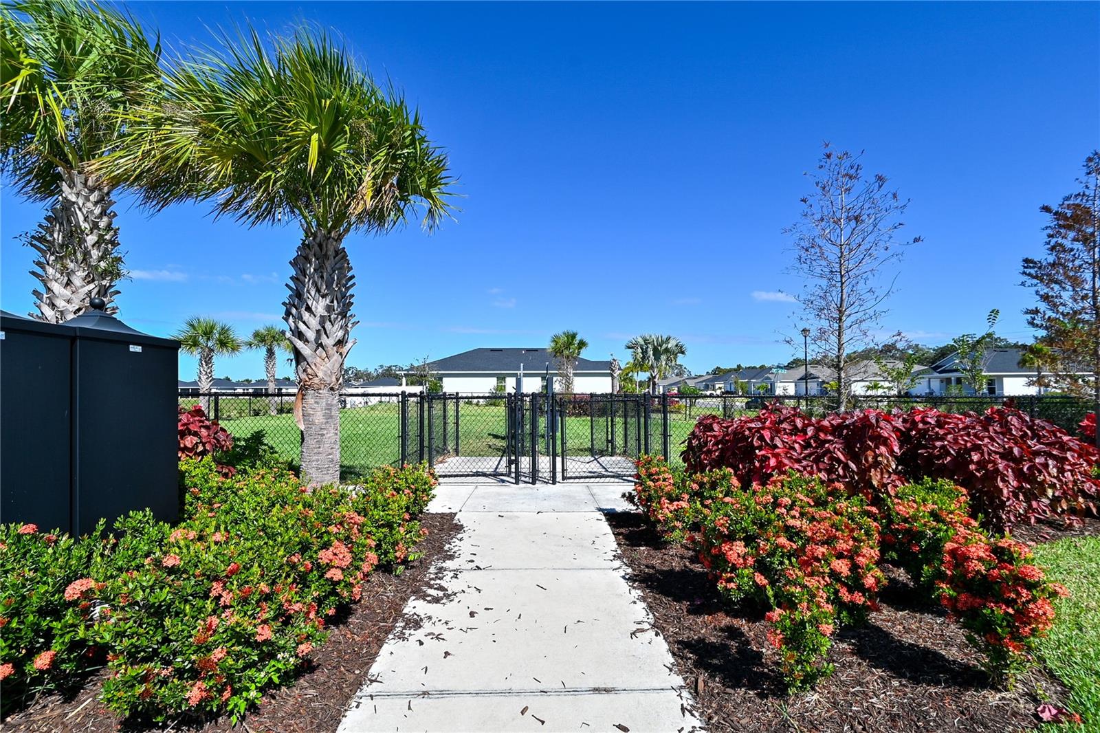 GRADY POINTE - Residential