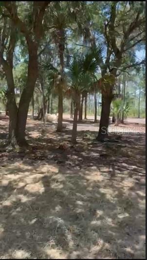 SOUTHERN COLONIZATION CO 24 - Land