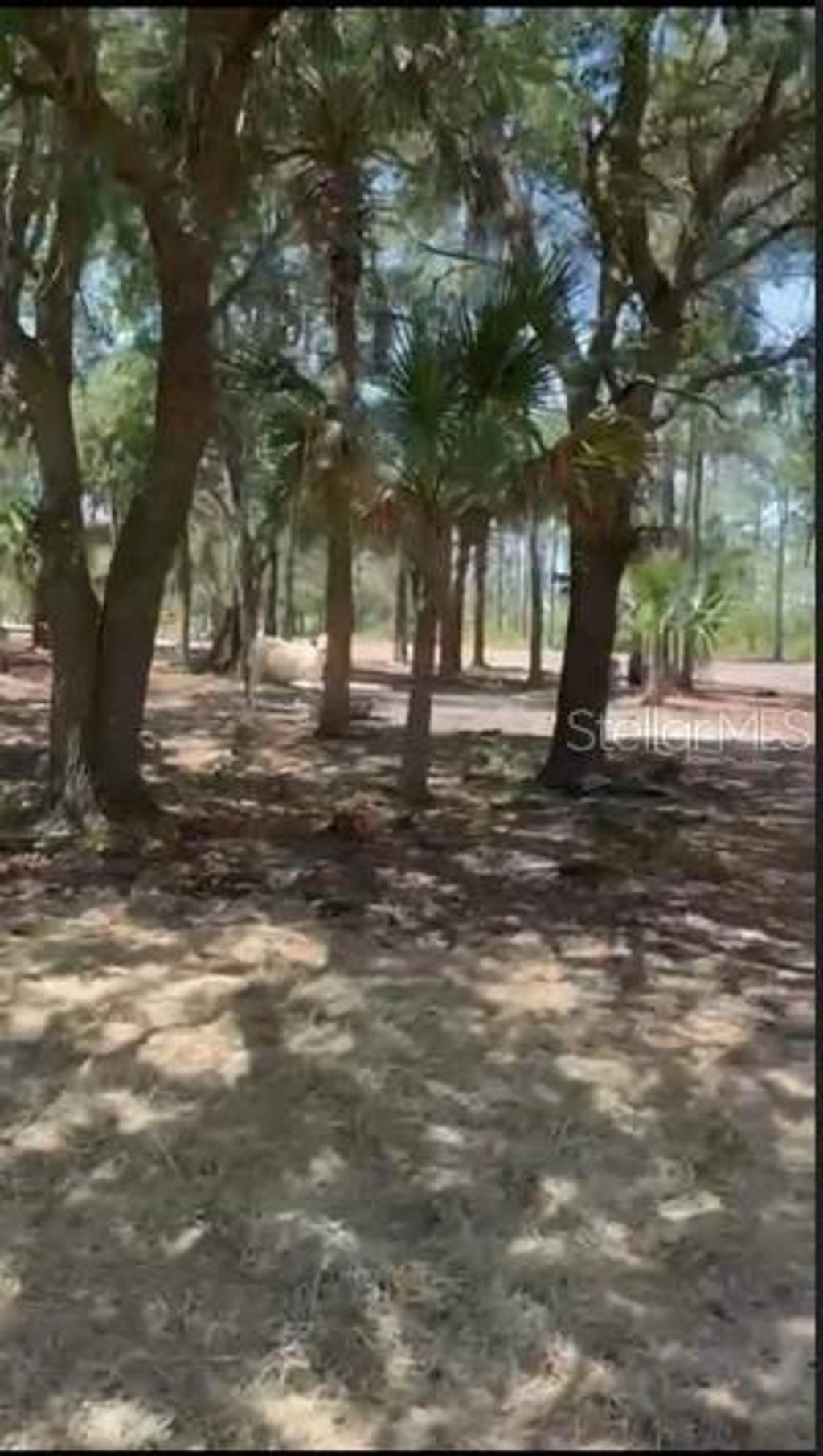 Photo of 15838 NW 312th Street, Okeechobee, FL 34972 (MLS # OK225672)