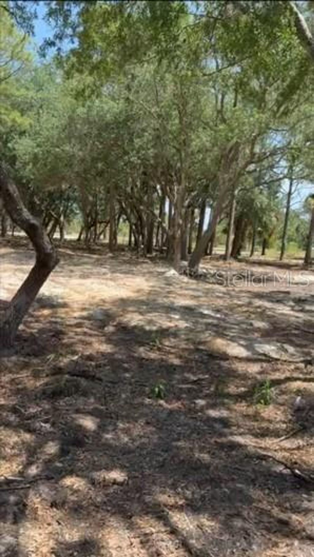 Photo of 15838 NW 312th Street, Okeechobee, FL 34972 (MLS # OK225672)