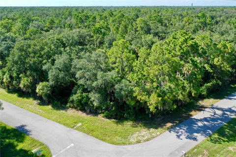 Photo of 14310 Dunlap Avenue, Port Charlotte, FL 33953 (MLS # C7529636)