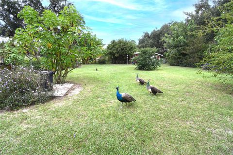 Tiny photo for 4107 Dove Valley Lane, Lady Lake, FL 32159 (MLS # G5112608)