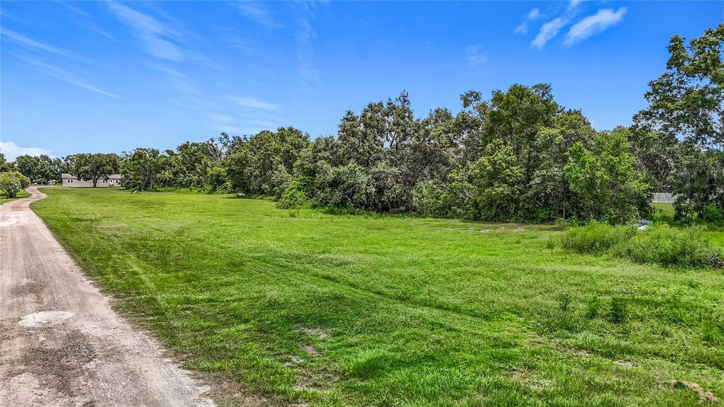 Photo of 7211 Tumbleton Ct, Dover, FL 33527 (MLS # TB8401496)