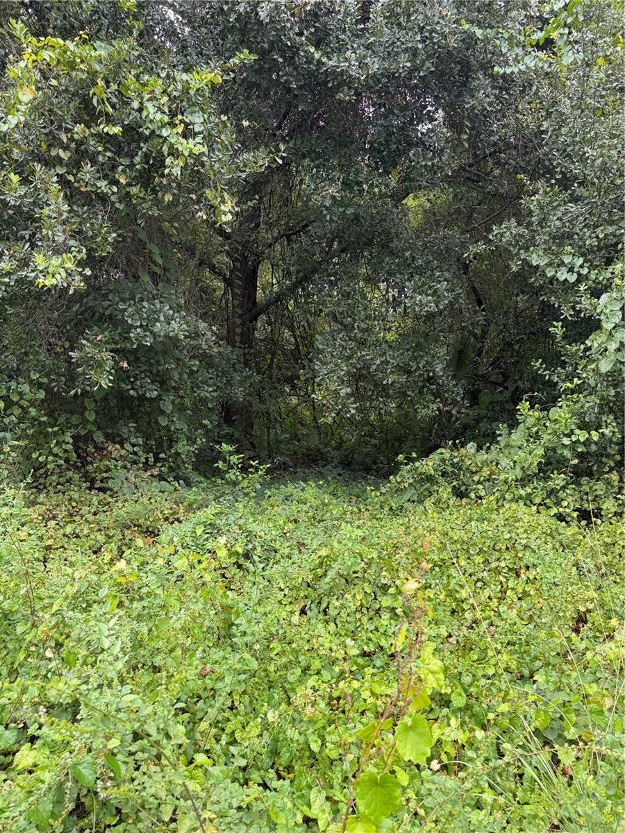 SPARKMAN ROAD