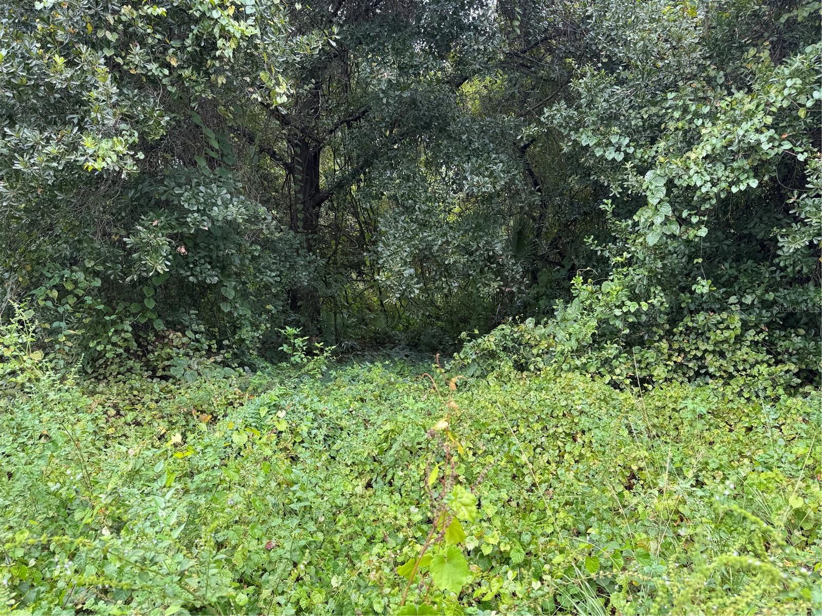SPARKMAN ROAD