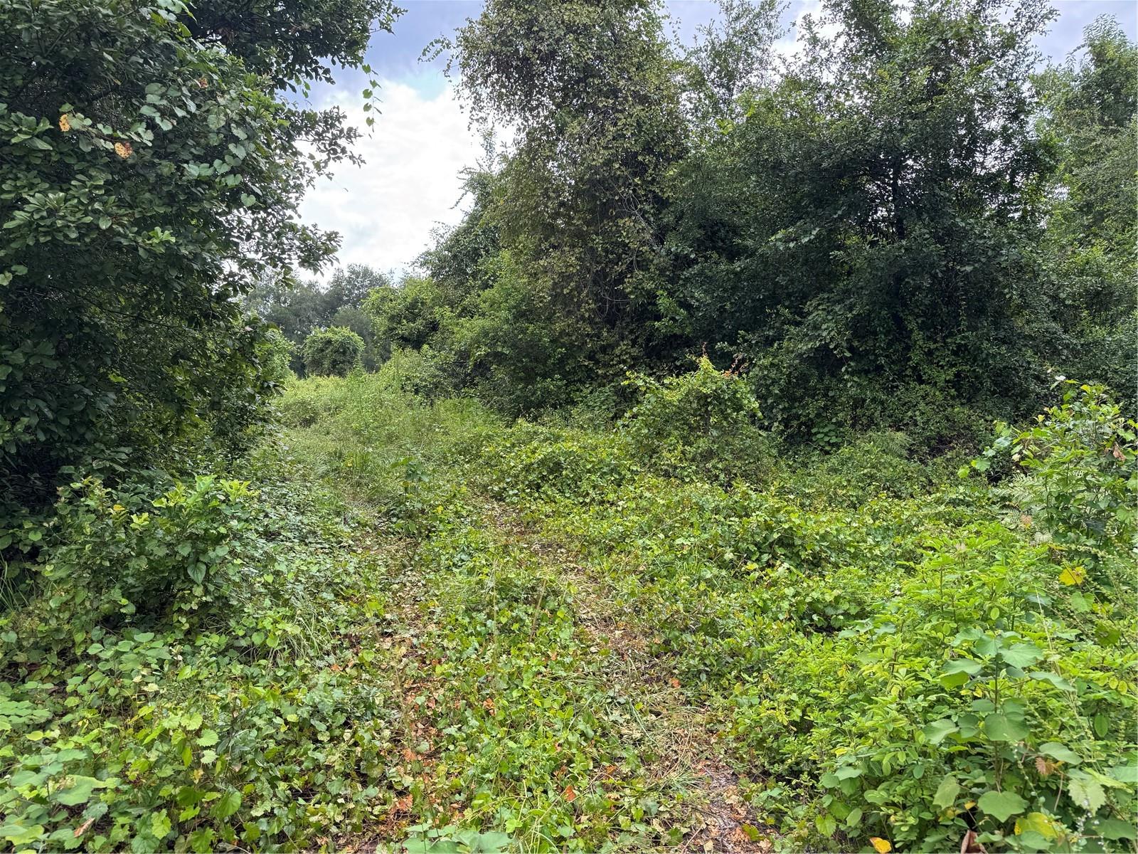 SPARKMAN ROAD