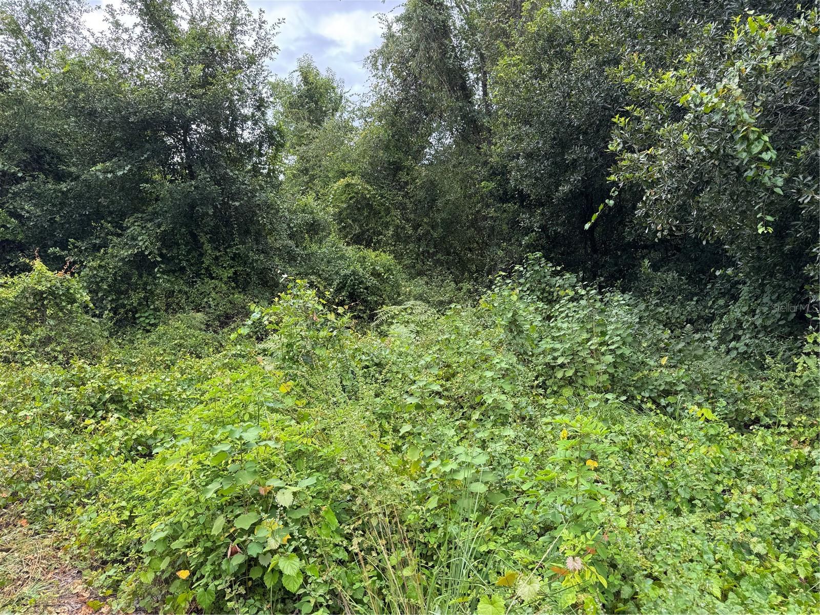 SPARKMAN ROAD