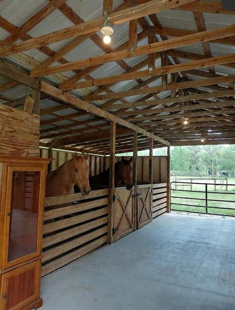 Tiny photo for 14810 NW 185 Street, Williston, FL 32696 (MLS # OM726746)