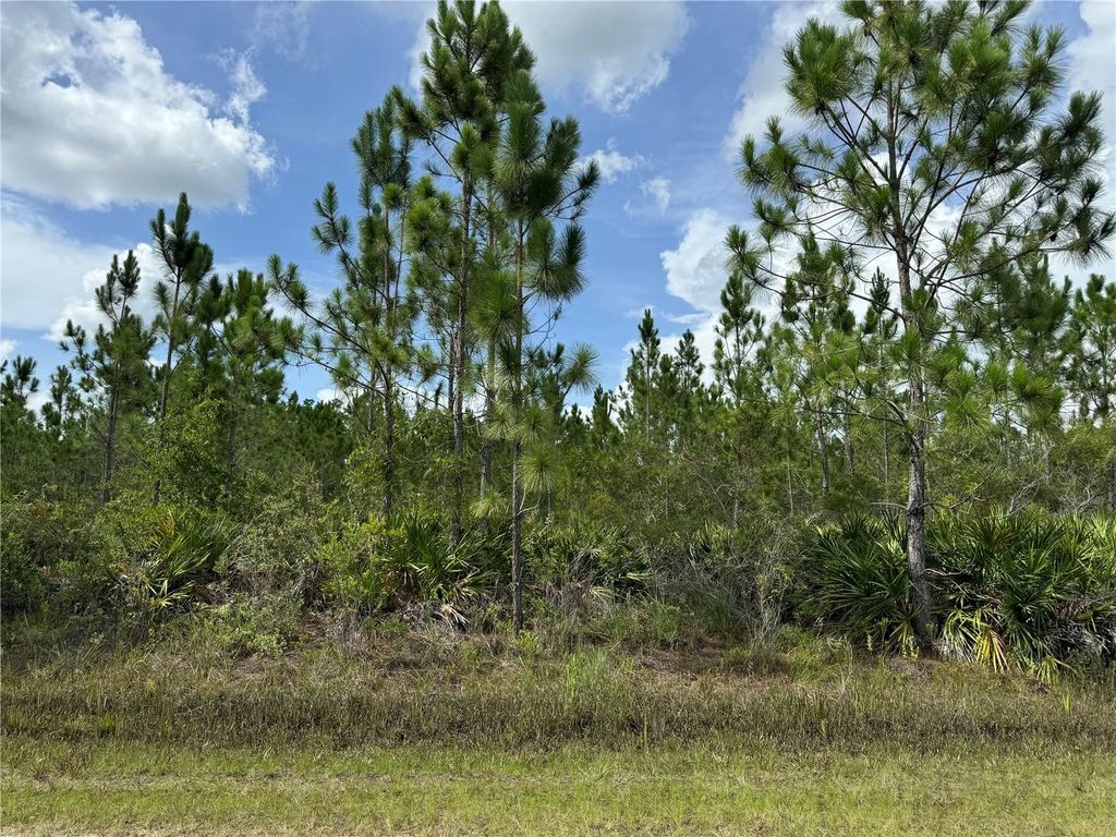 Photo of 3621 Calendula Drive, Indian Lake Estates, FL 33855 (MLS # T3543731)