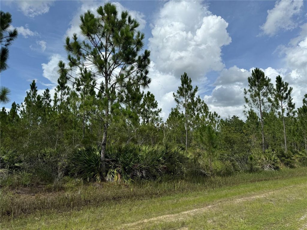 Photo of 3621 Calendula Drive, Indian Lake Estates, FL 33855 (MLS # T3543731)