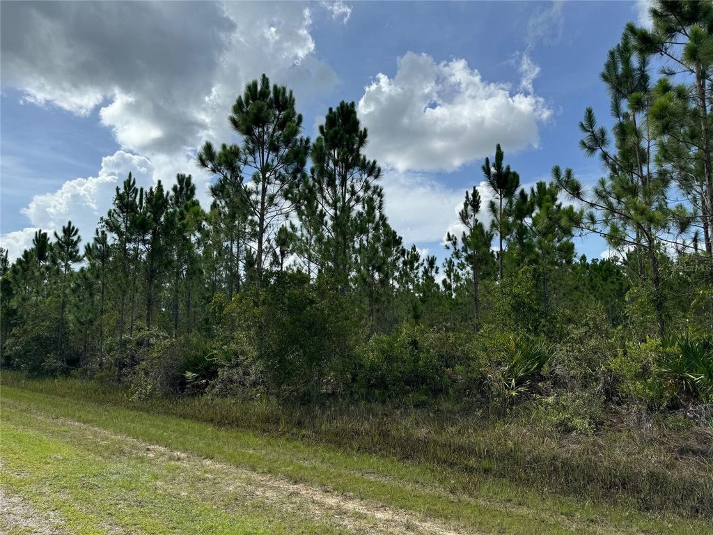 Photo of 3621 Calendula Drive, Indian Lake Estates, FL 33855 (MLS # T3543731)