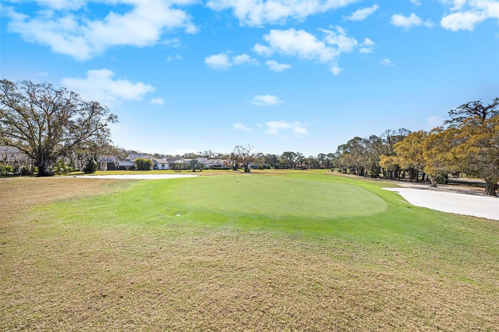 Photo of 141 Lakeview Way #141, Oldsmar, FL 34677 (MLS # TB8483907)