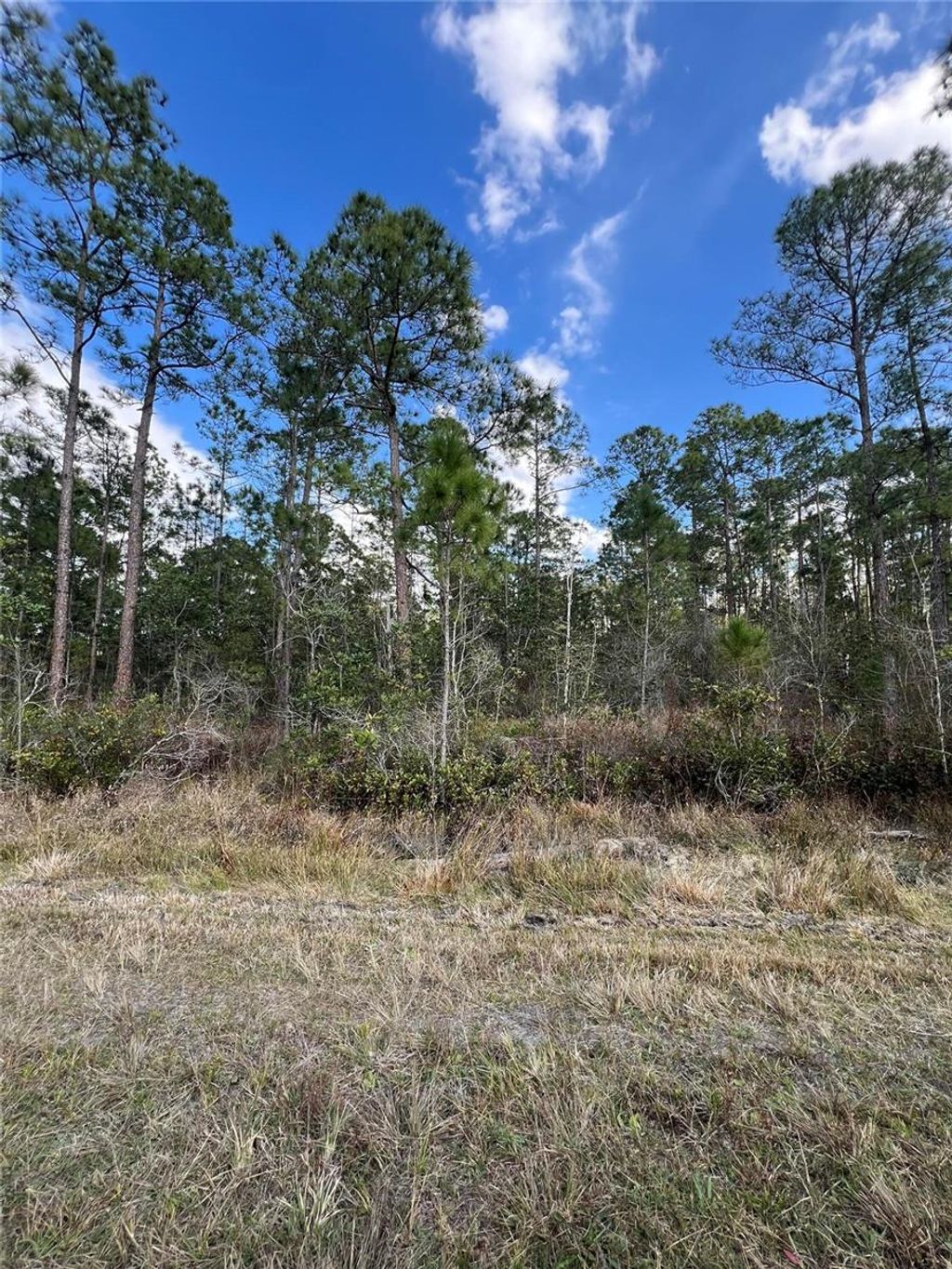 Photo of 6727 Balboa Boulevard, Sebring, FL 33872 (MLS # O6381491)