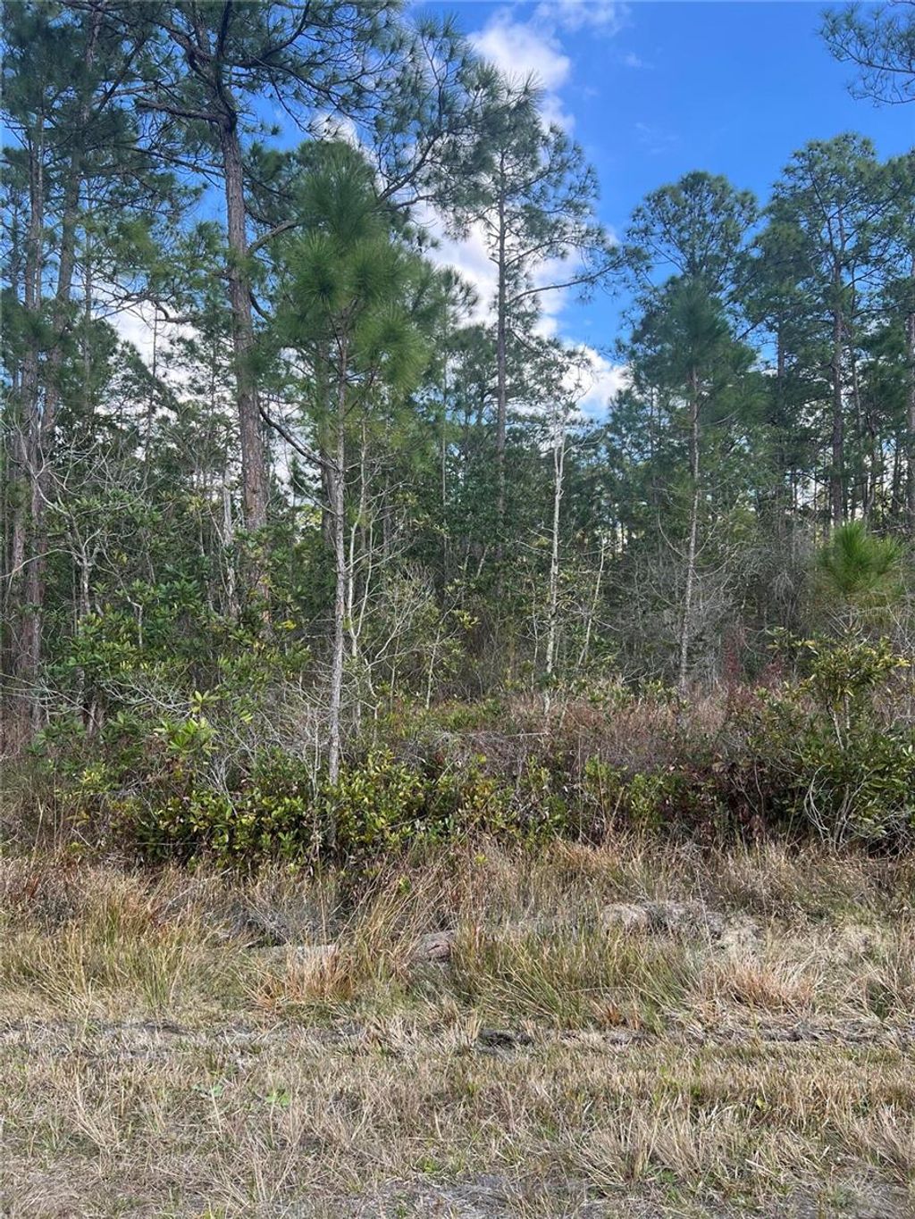 Photo of 6727 Balboa Boulevard, Sebring, FL 33872 (MLS # O6381491)