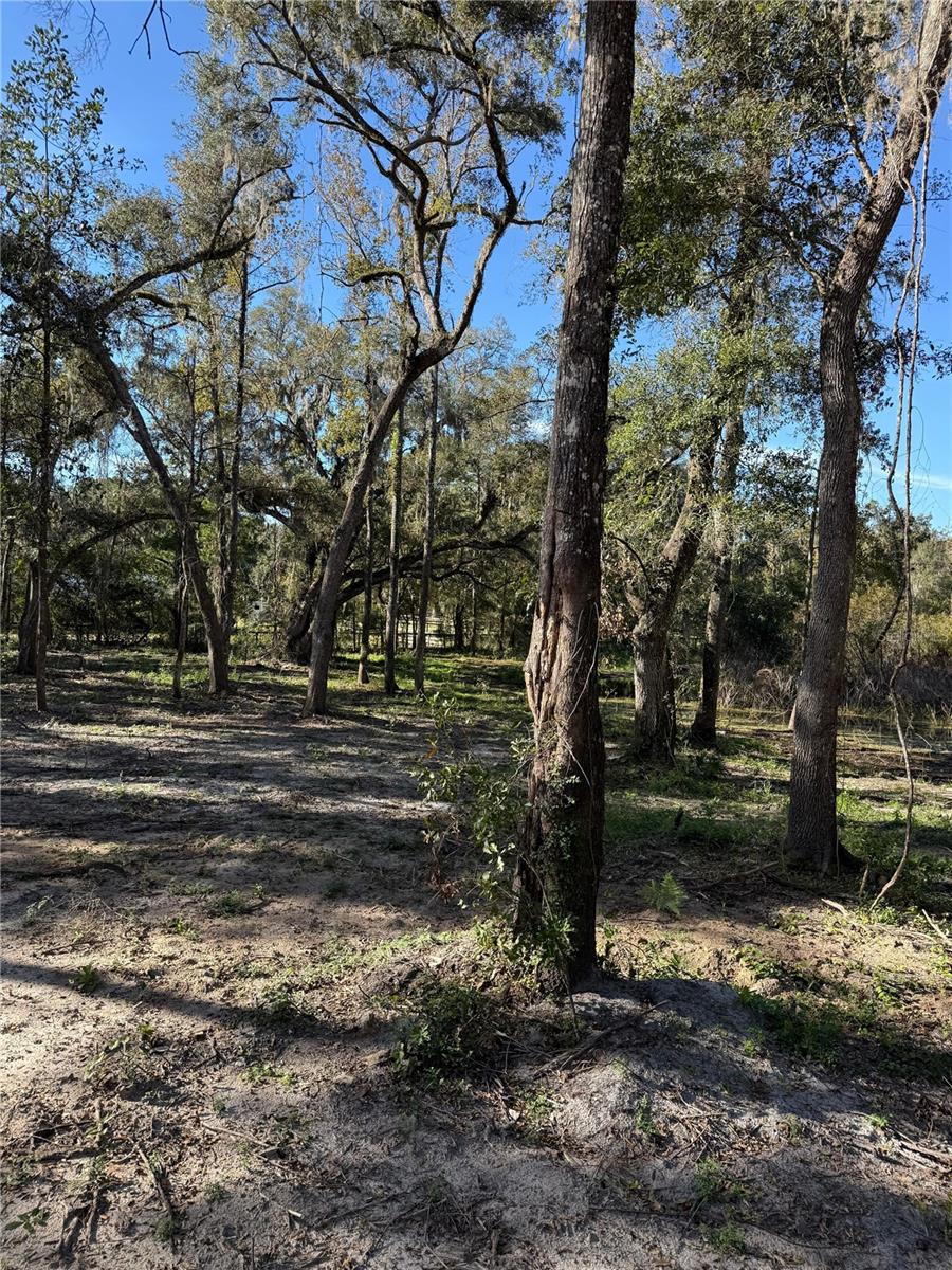 MEADOW WOOD ACRES 44 - Land