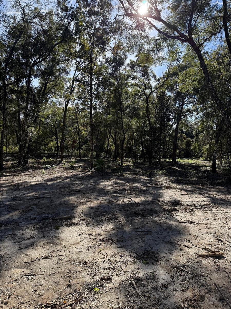 MEADOW WOOD ACRES 44 - Land