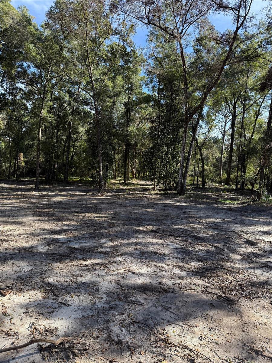 MEADOW WOOD ACRES 44 - Land