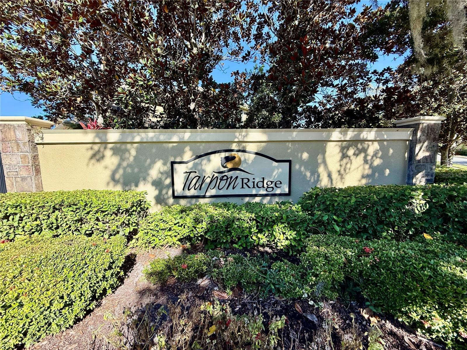 TARPON RIDGE TWNHMS - Residential