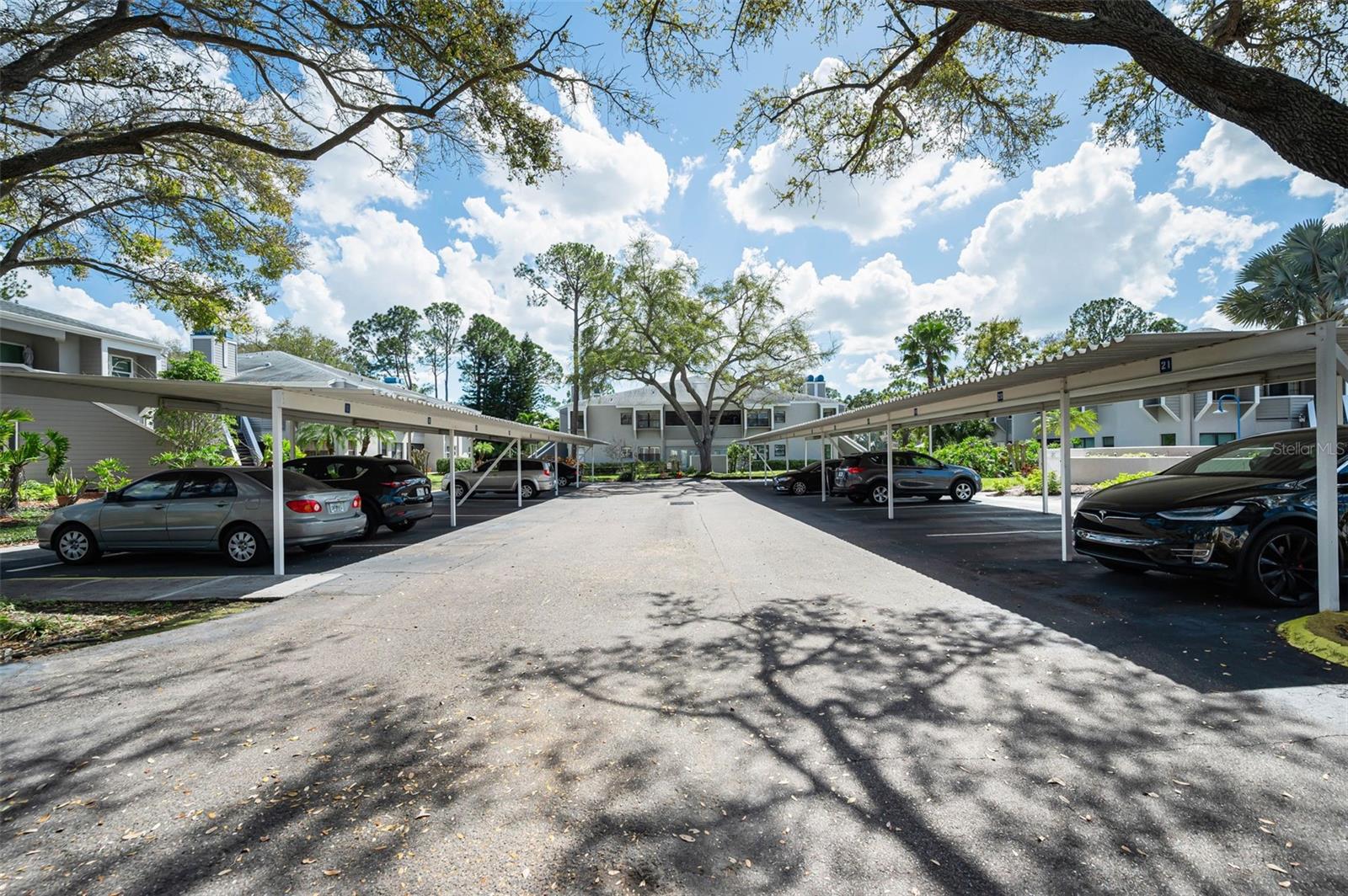 MAIDSTONE CONDO - Residential