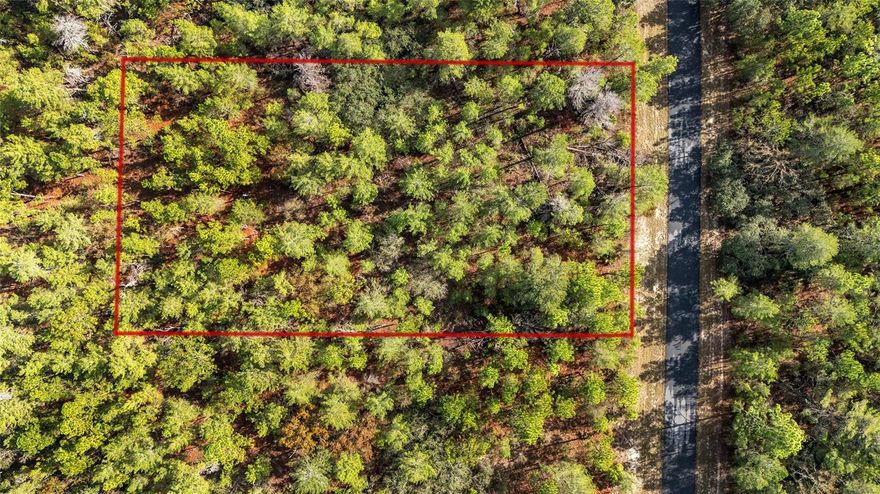Create the home you’ve always dreamed of on this stunning, rare 1.09-acre vacant lot located in the desirable Marion Oaks community of Ocala, Florida. This spacious property offers an ideal blend of privacy, natural beauty, and convenience. Nestled among newly built homes and quiet, well-kept streets, this lot is perfect for anyone looking to build a custom home in a rapidly growing area. The parcel features gorgeous natural tree coverage—clear as much or as little as you like to design the perfect homesite. Located just minutes from shopping, dining, schools, healthcare, and major roadways, you’ll enjoy the peaceful feel of a residential neighborhood without sacrificing easy access to everyday amenities. Marion Oaks is a deed-restricted community with no HOA fees, offering a welcoming environment for homeowners and investors alike.