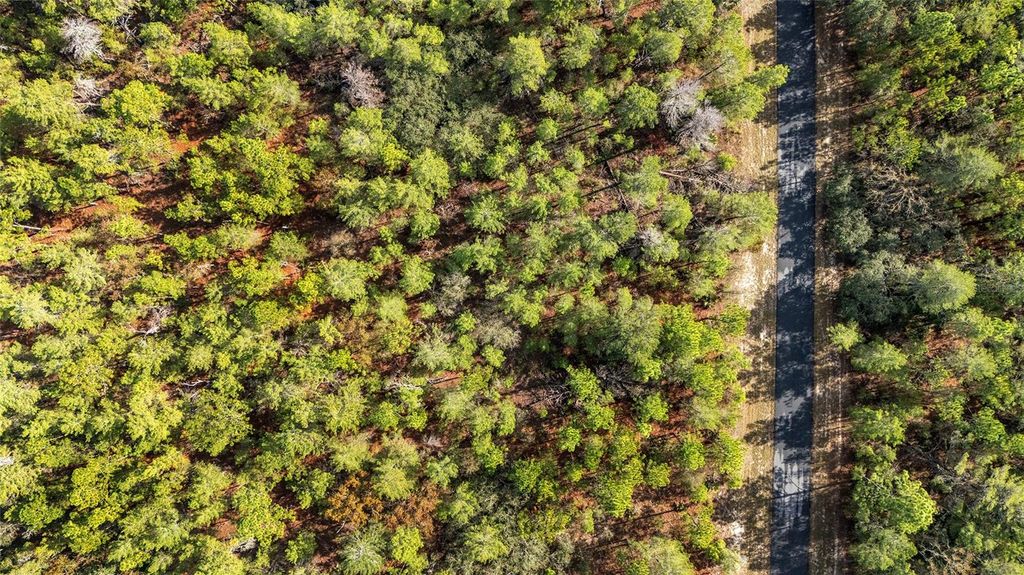 Photo of SW 177th Street, Ocala, FL 34473 (MLS # OM714928)