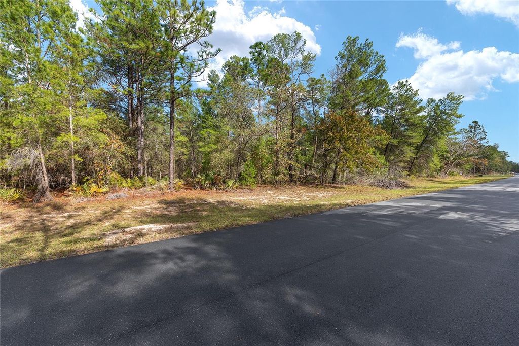 Photo of SW 177th Street, Ocala, FL 34473 (MLS # OM714928)