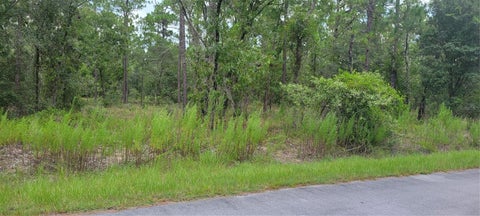 Photo of 0 NW Highview Avenue, Dunnellon, FL 34431 (MLS # OM729404)