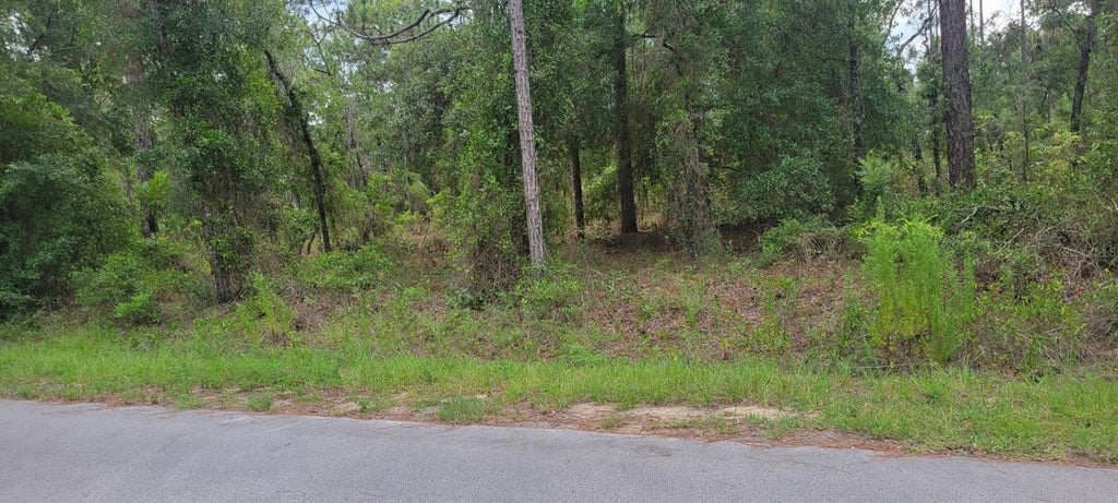 Photo of 0 NW Highview Avenue, Dunnellon, FL 34431 (MLS # OM729404)