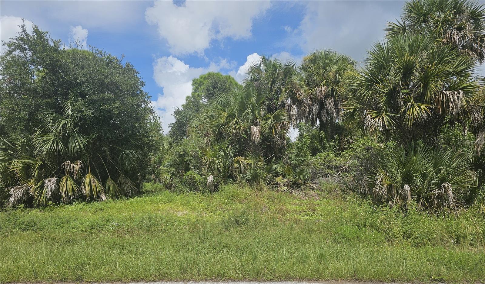 233 PEMBROKE DRIVE, PORT CHARLOTTE, FL, 33954 1 233 PEMBROKE DRIVE