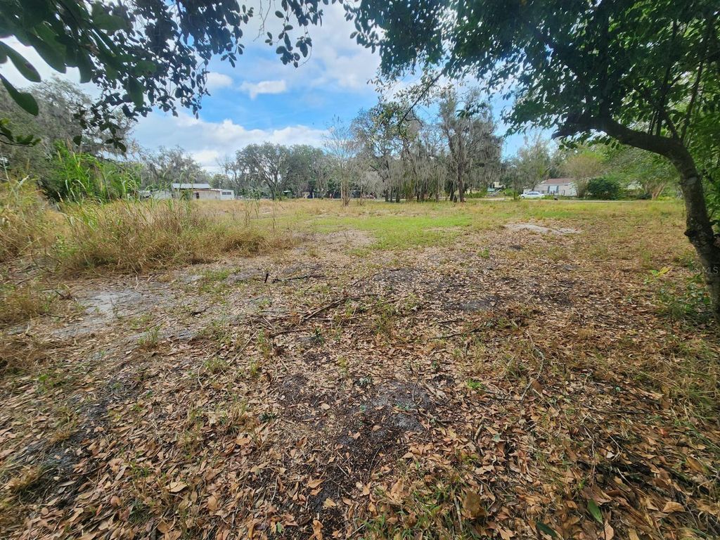 Photo of 1409 Wilkinson Drive, Plant City, FL 33566 (MLS # TB8514377)