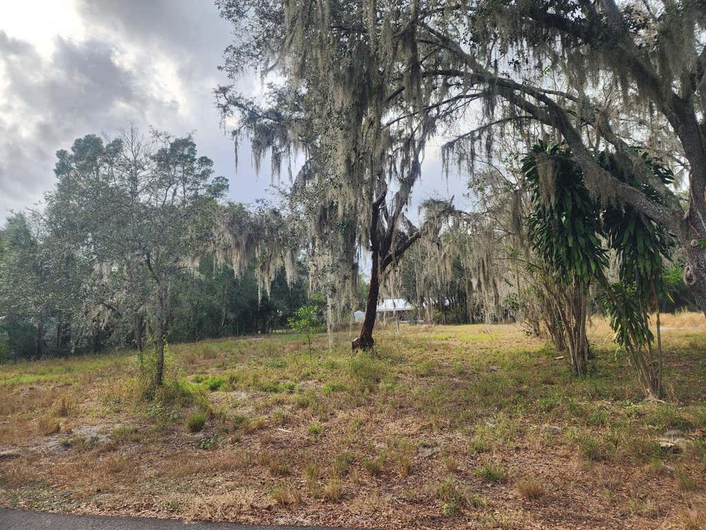 Photo of 1409 Wilkinson Drive, Plant City, FL 33566 (MLS # TB8514377)