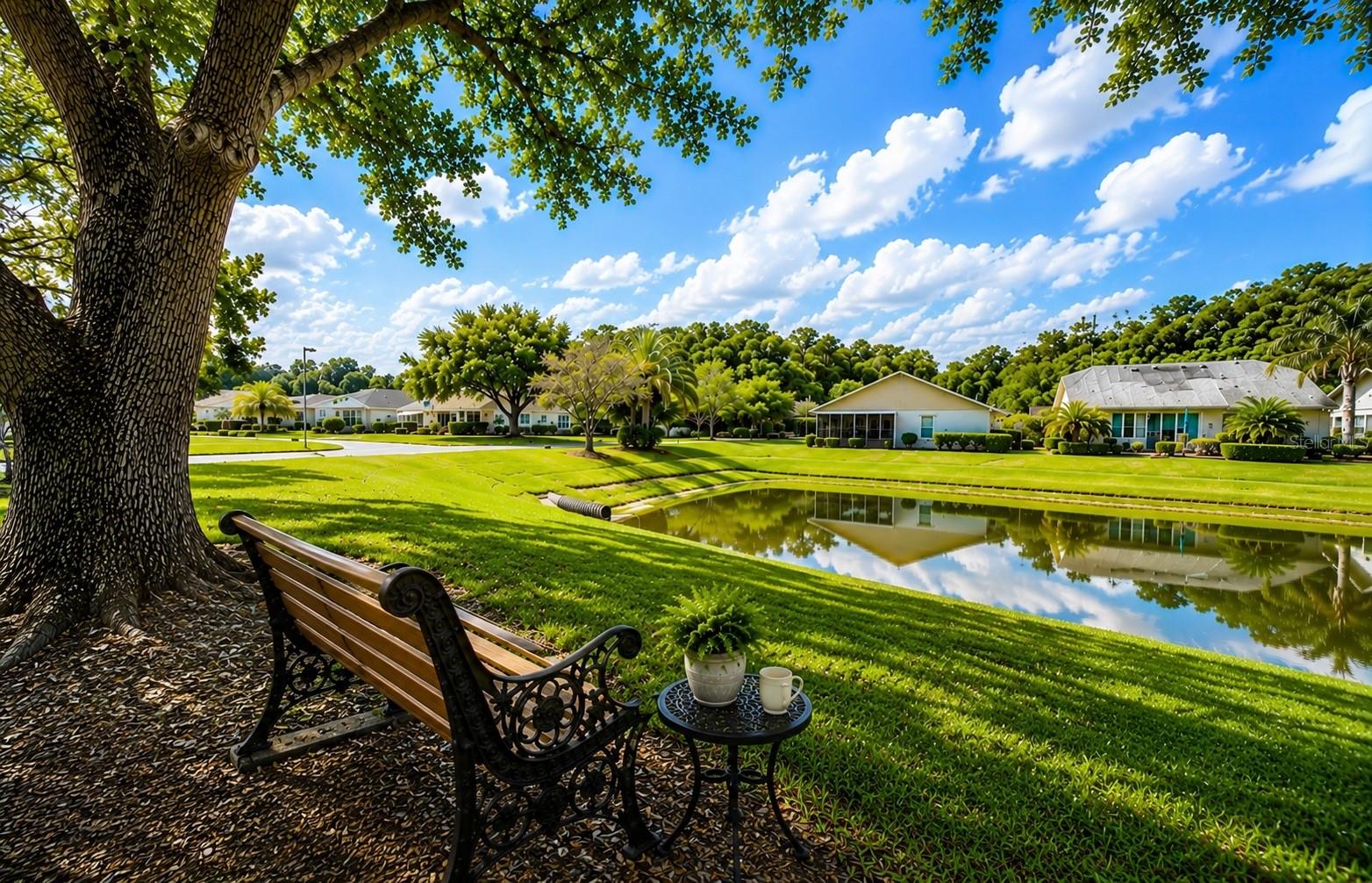 11805 LOBLOLLY PINE DRIVE